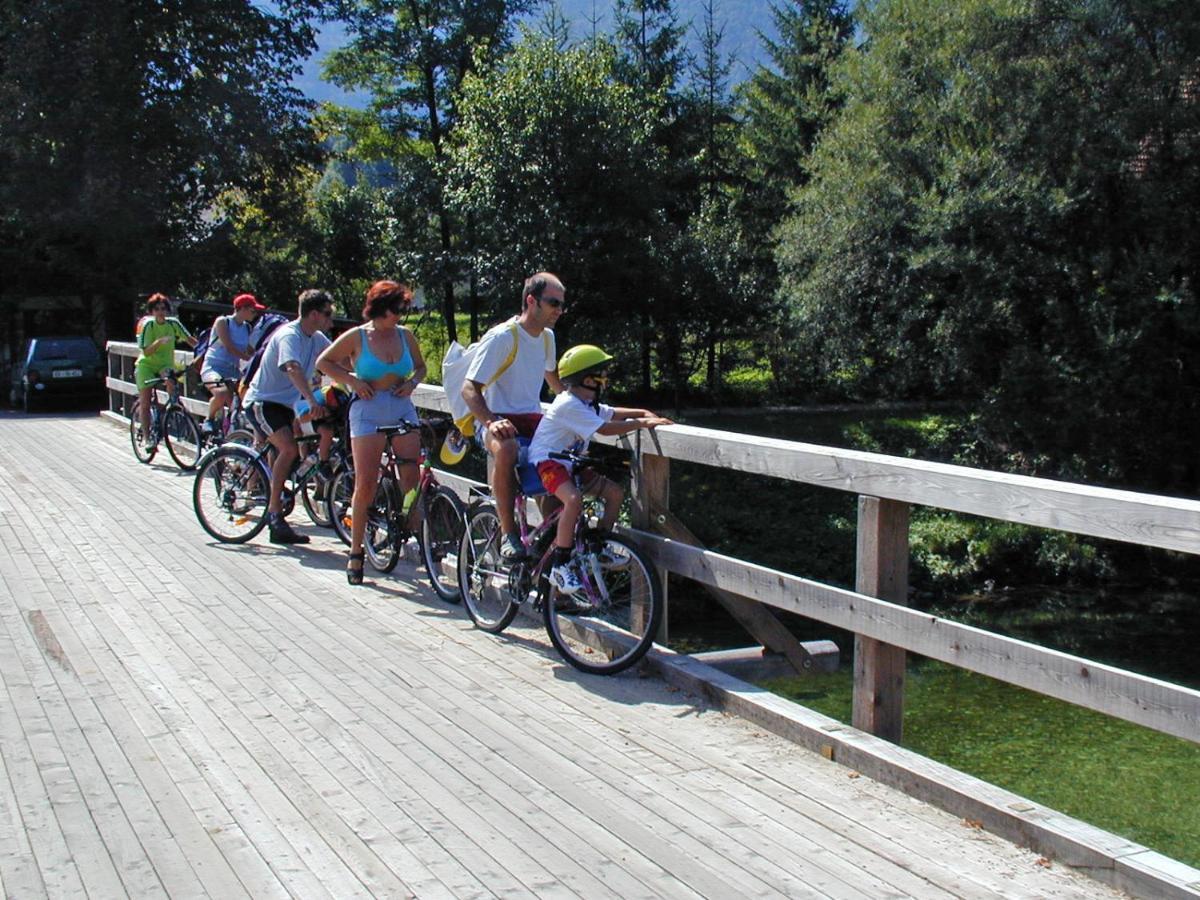 Accommodation Destina, Lake Bohinj ภายนอก รูปภาพ