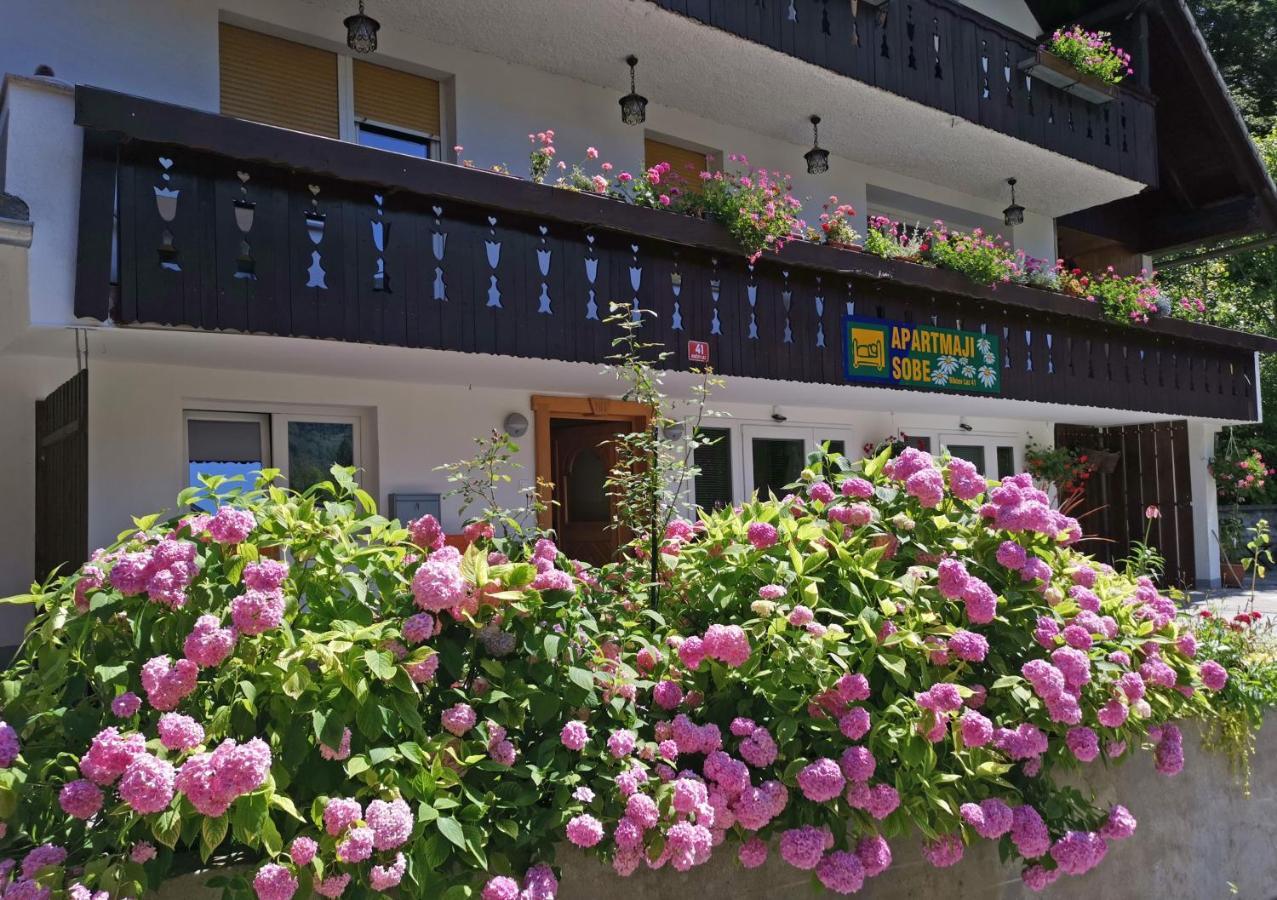 Accommodation Destina, Lake Bohinj ภายนอก รูปภาพ